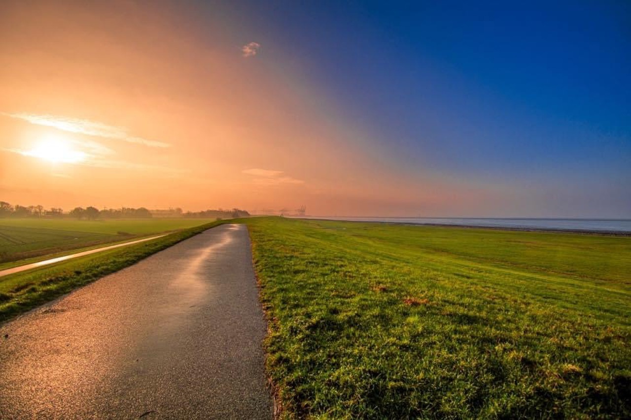 Column Joyce Sylvester, Dijkgraaf Amstel Gooi